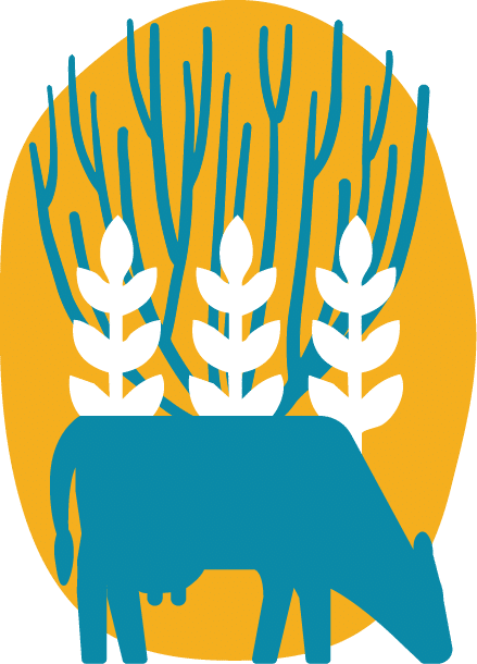 Agroforestry