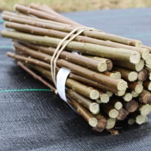 SRC Willow Cuttings