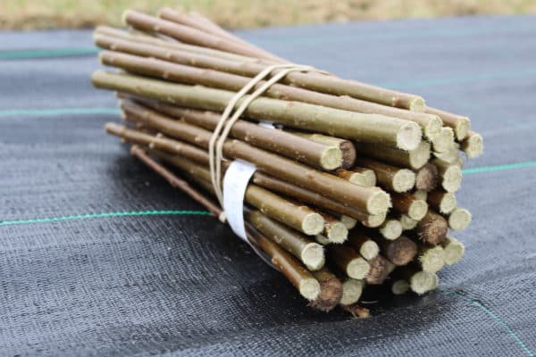 SRC Willow Cuttings