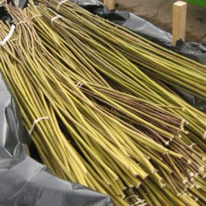 SRC willow rods