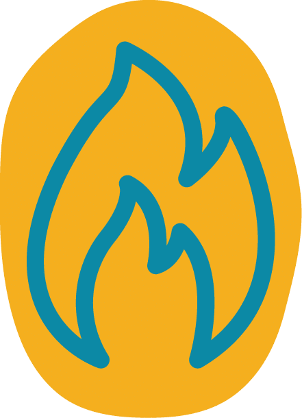 Willow as fuel