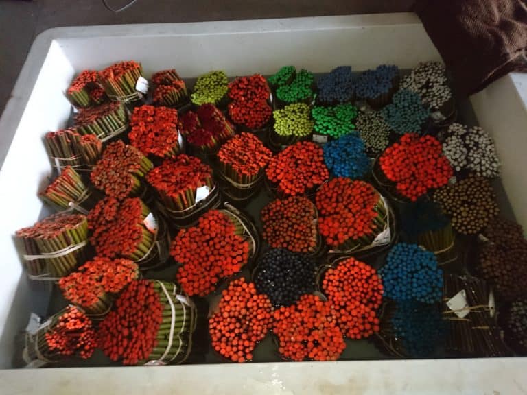 Bundles of willow rods in a large container