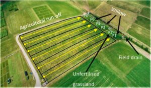 Short Rotation Coppice willow buffer strips have been demonstrated to reduce diffuse water pollution considerably. Trials at AFBI in Northern indicate a reduction in 35% phosphate run off into watercourses when using willow compared to grass controls.