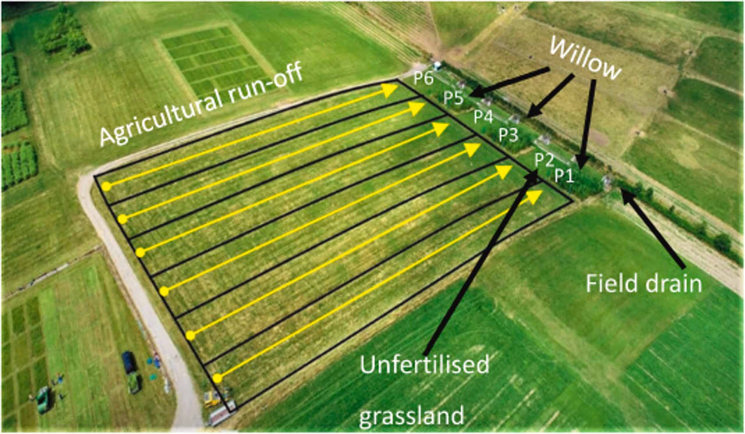 Short Rotation Coppice willow buffer strips have been demonstrated to reduce diffuse water pollution considerably. Trials at AFBI in Northern indicate a reduction in 35% phosphate run off into watercourses when using willow compared to grass controls.