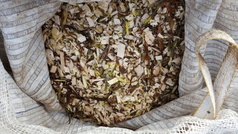 DIY production of ramial woodchips from an SRC willow plantation is cheap and relatively easy. We produced 3 dumpy bags full in a couple of hours.